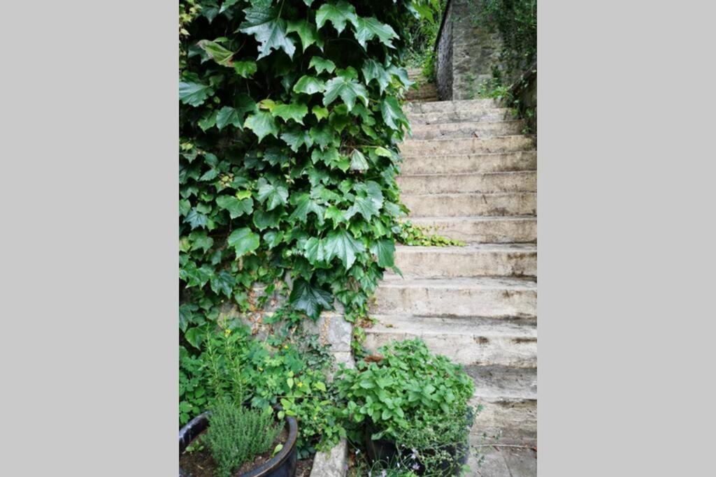 La Belle Vigne Apartment นามูร์ ภายนอก รูปภาพ